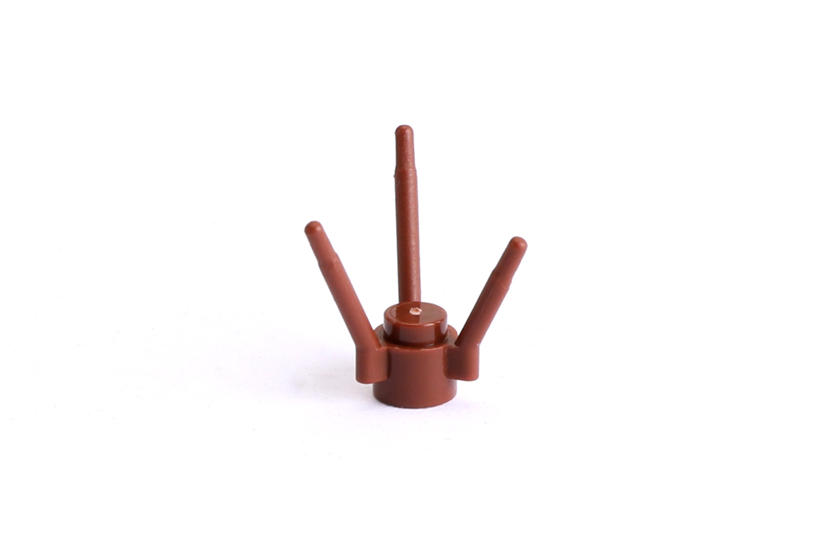 100 Stück Plant Flower Stem braun